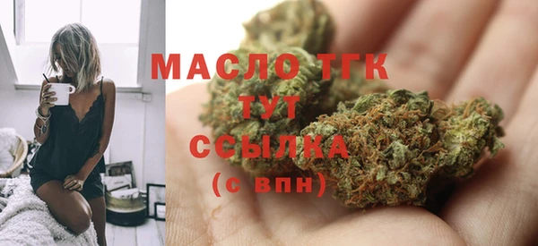 спиды Бородино