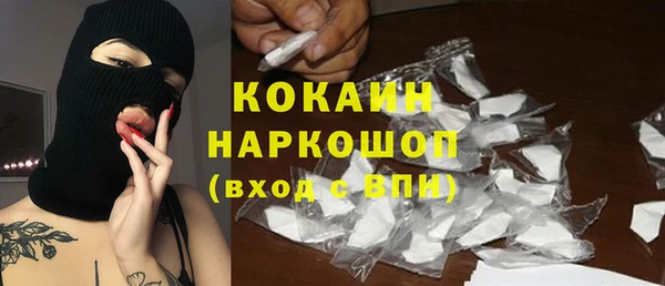 спиды Бородино
