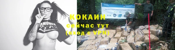 спиды Бородино
