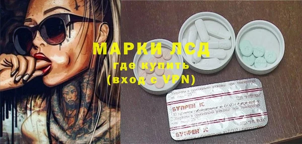 спиды Бородино