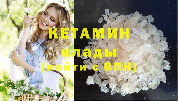спиды Бородино