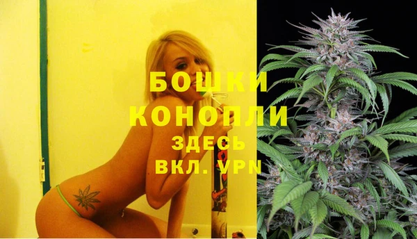 спиды Бородино