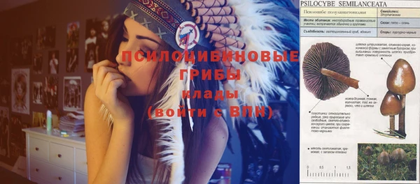стафф Бугульма