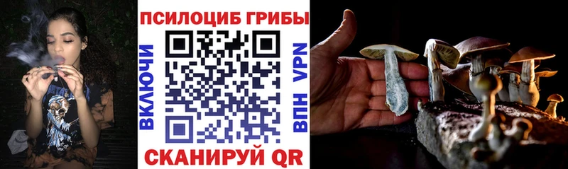 купить наркотики сайты  Надым  Галлюциногенные грибы Psilocybe 